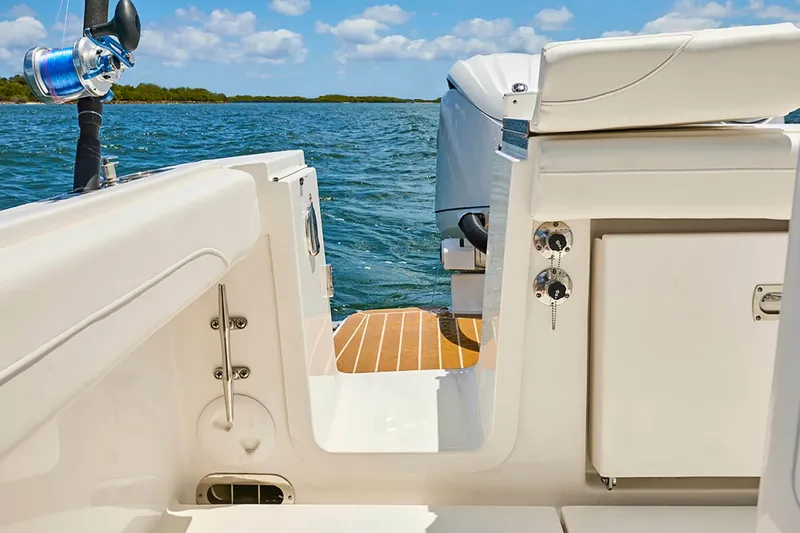 Slide: The Image of Regulator Marine 23 2025 - 6020614