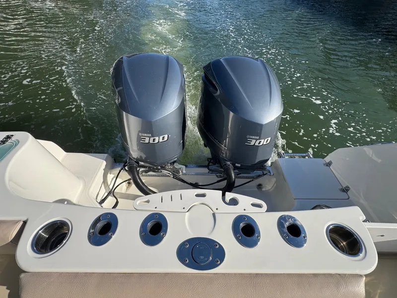 Slide: The Image of 2021 Sailfish 290 CC Engines - 6020714