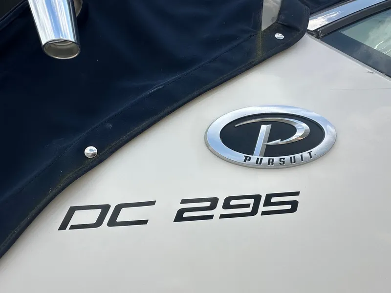 Slide: The Image of Pursuit 295 DC 2020 - 6020849