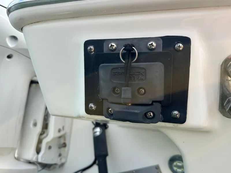 Slide: The Image of Pursuit 295 DC 2020 - 6020852