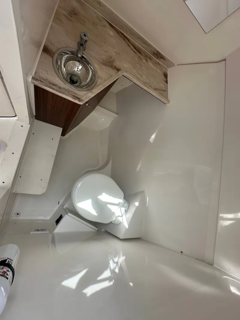 Slide: The Image of Pursuit 295 DC 2020 - 6020853