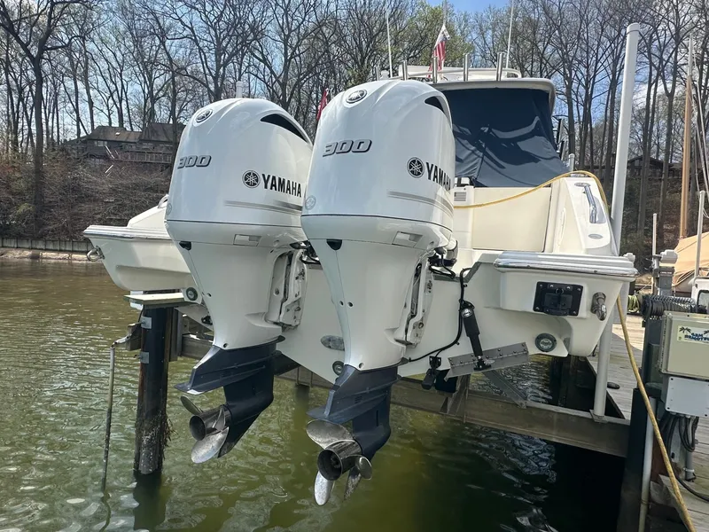 Slide: The Image of Pursuit 295 DC 2020 - 6020824