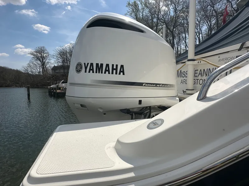 Slide: The Image of Pursuit 295 DC 2020 - 6020835