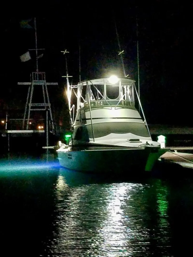 Slide: The Image of Bertram 35 1974 - 6023221