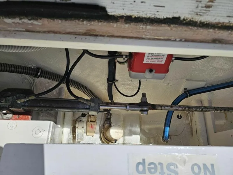 Slide: The Image of Bertram 35 1974 - 6023231