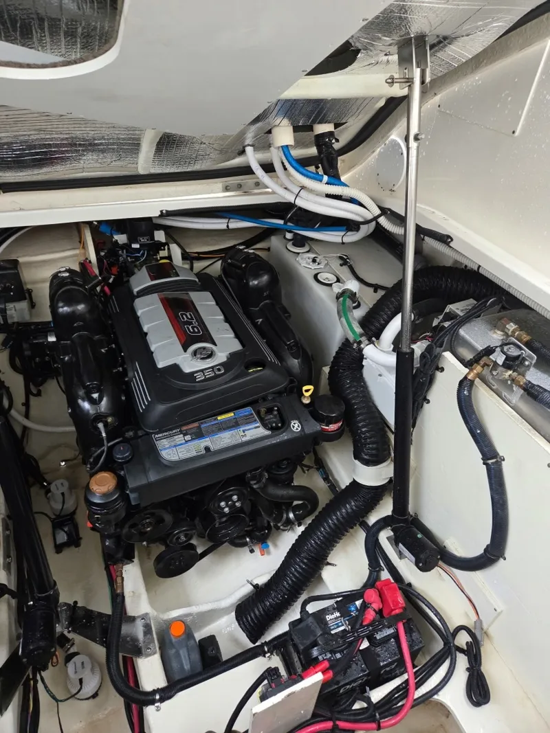 Slide: The Image of Sea Ray 350 Sundancer Coupe 2018 - 6781300