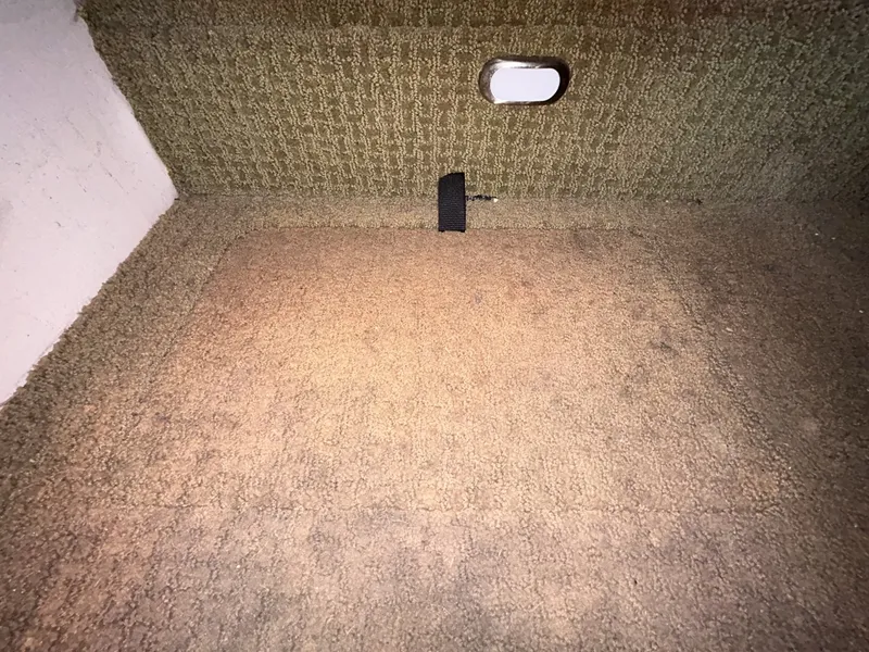 Slide: The Image of Sea Ray 26 2014 - 6021012