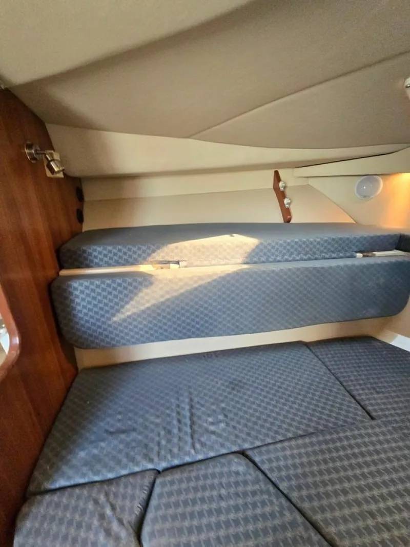 Slide: The Image of Rampage 33 2005 - 6023752