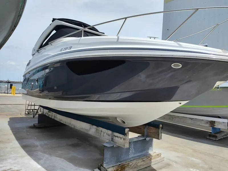 The Image of Regal 28 2023 - 6023701