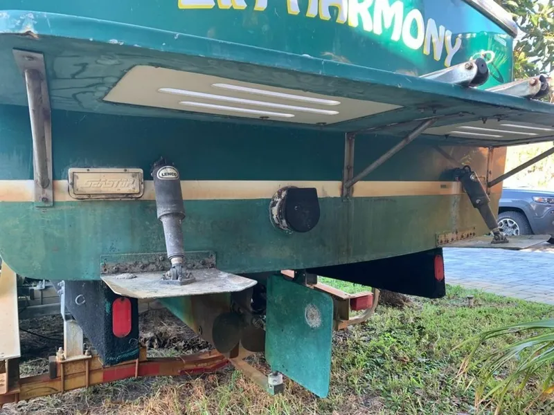 Slide: The Image of Atlas 25 1998 - 6022451