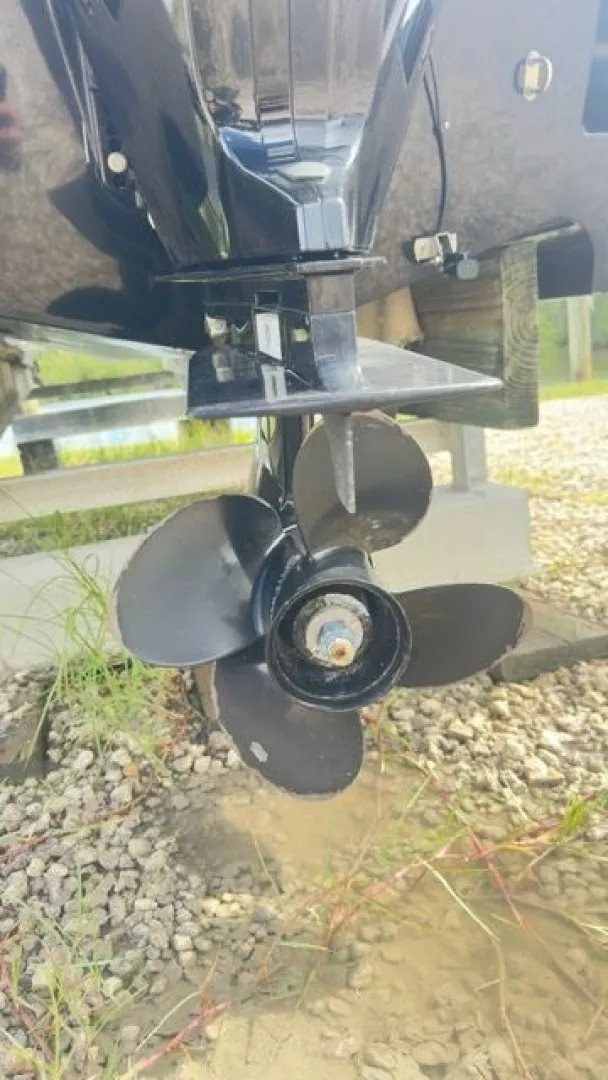 Slide: The Image of Bayliner 17 2023 - 6022795