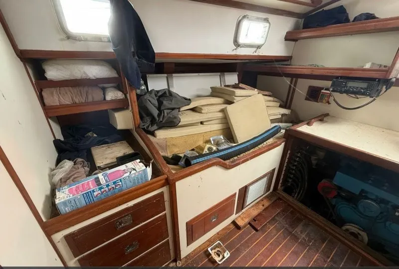 Slide: The Image of Shannon 50 1981 - 6023006