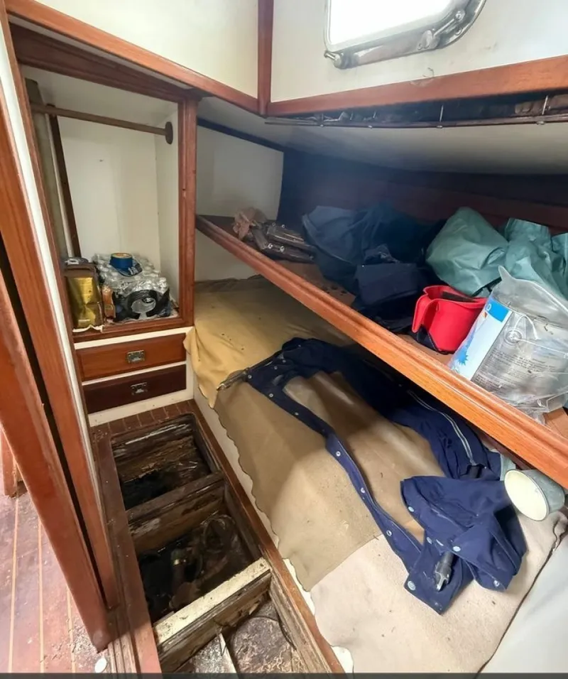 Slide: The Image of Shannon 50 1981 - 6023007