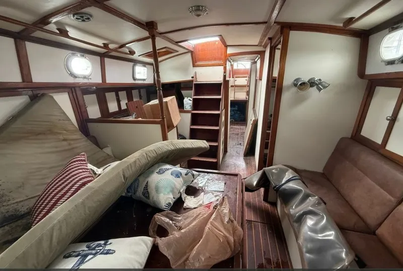 Slide: The Image of Shannon 50 1981 - 6023008