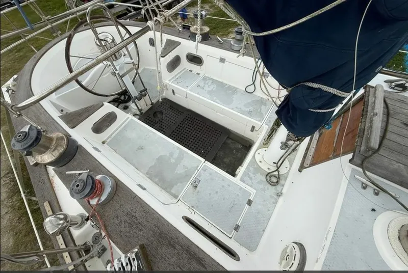 Slide: The Image of Shannon 50 1981 - 6023009