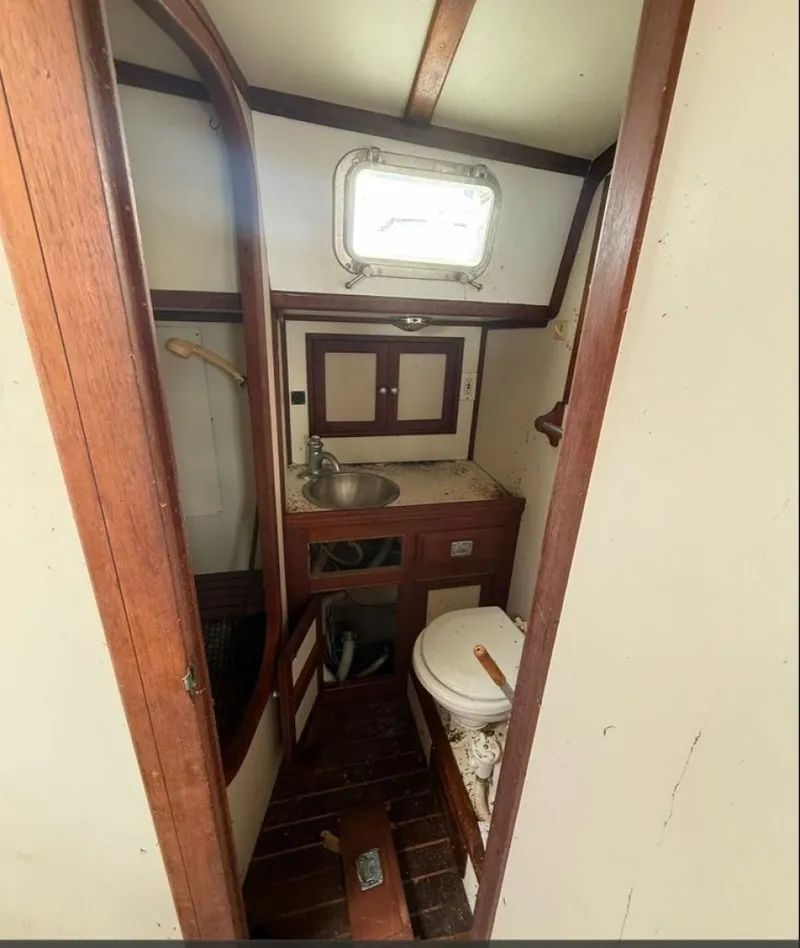 Slide: The Image of Shannon 50 1981 - 6023012