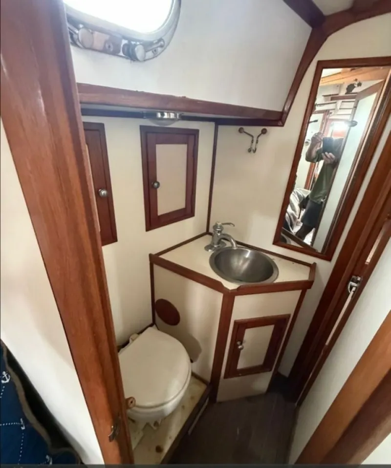 Slide: The Image of Shannon 50 1981 - 6023013