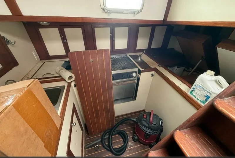 Slide: The Image of Shannon 50 1981 - 6023014