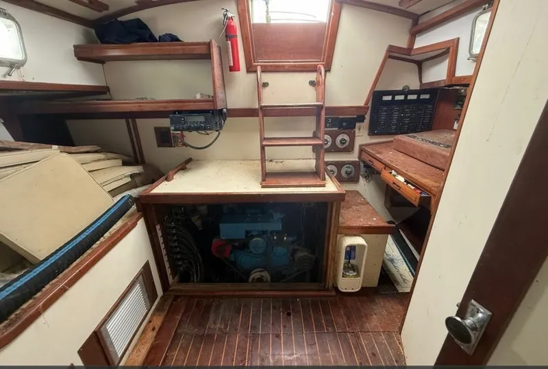 Slide: The Image of Shannon 50 1981 - 6022996