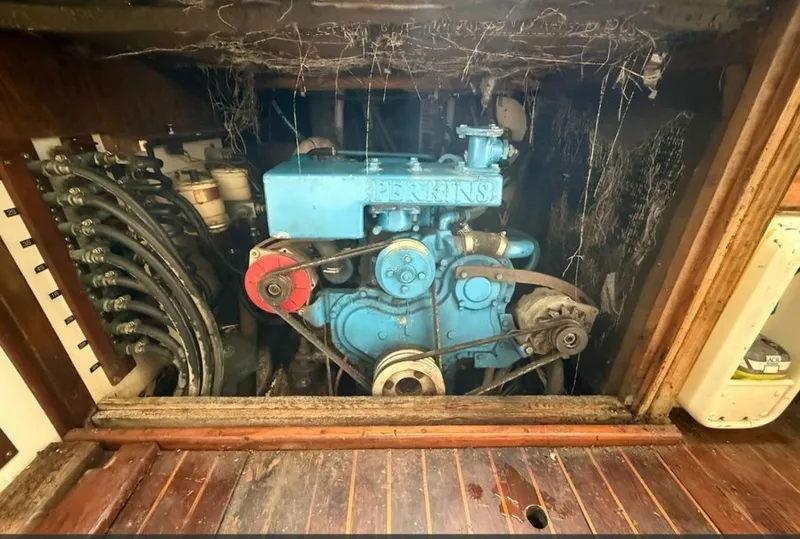 Slide: The Image of Shannon 50 1981 - 6022997