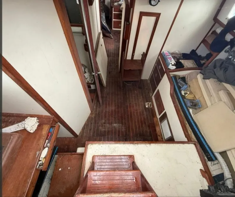 Slide: The Image of Shannon 50 1981 - 6022998