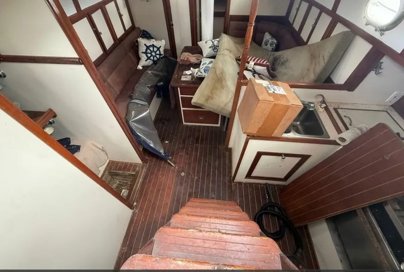 Slide: The Image of Shannon 50 1981 - 6022999