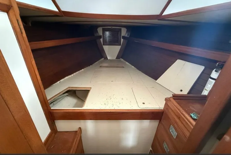 Slide: The Image of Shannon 50 1981 - 6023002