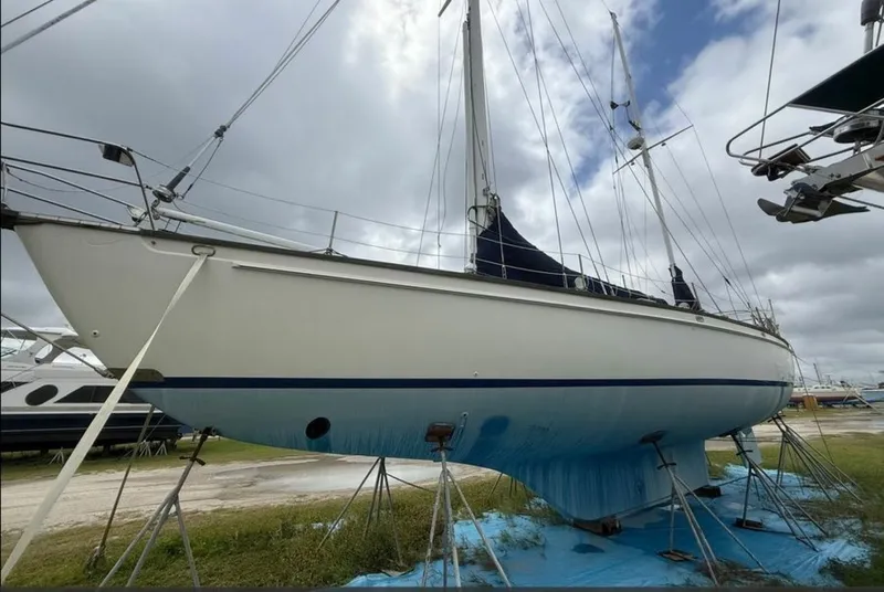 Slide: The Image of Shannon 50 1981 - 6023004