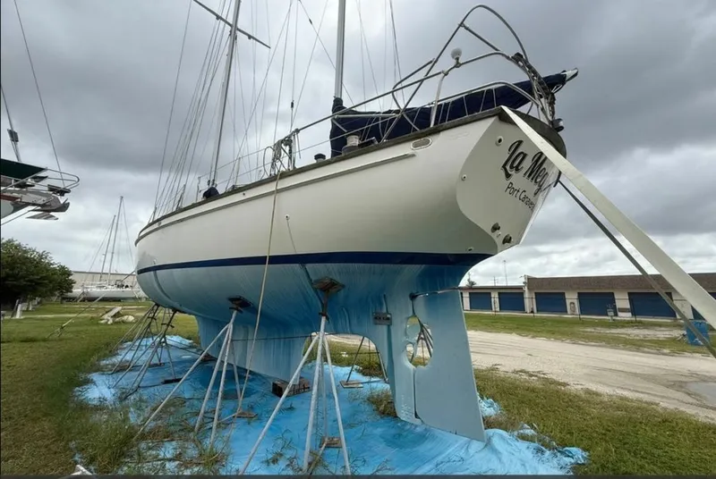 Slide: The Image of Shannon 50 1981 - 6023005