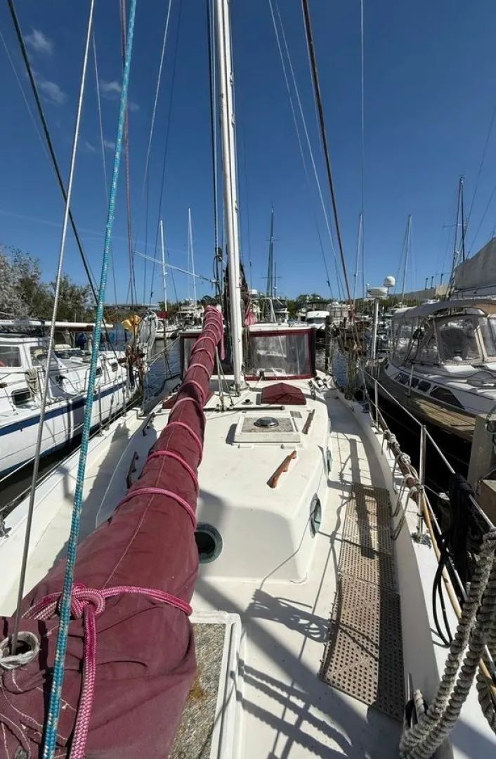 Slide: The Image of CSY 44 1979 - 6022678