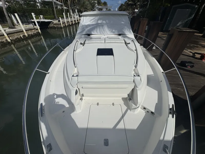 Slide: The Image of Pursuit 44 2024 - 6022566