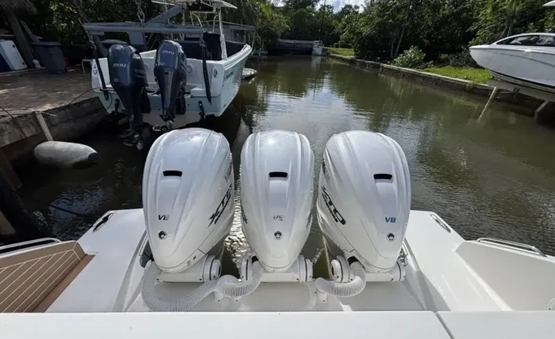 Slide: The Image of Pursuit 44 2024 - 6022624