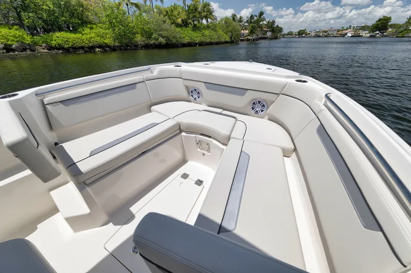 Slide: The Image of Sailfish 252 CC 2026 - 6025608