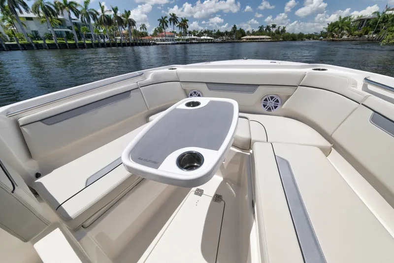 Slide: The Image of Sailfish 252 CC 2026 - 6025612