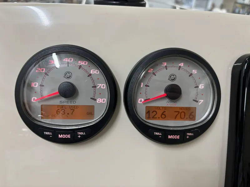 Slide: The Image of Boston Whaler 250 Dauntless 2024 - 6026121