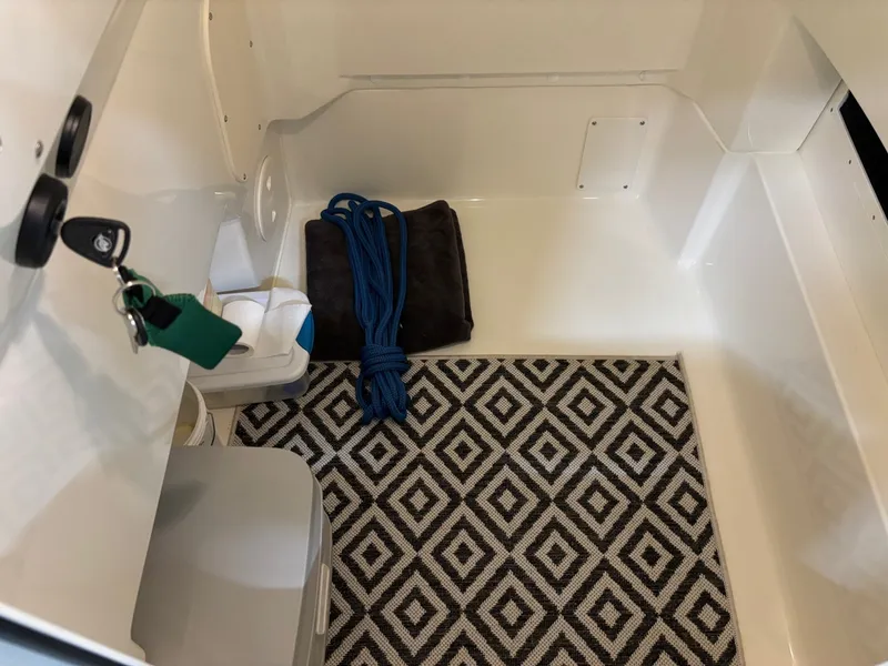 Slide: The Image of Boston Whaler 250 Dauntless 2024 - 6026111