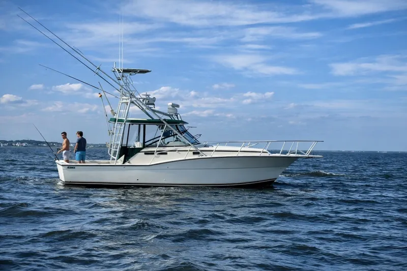 The Image of Atlantic Express 1990 - 6027150