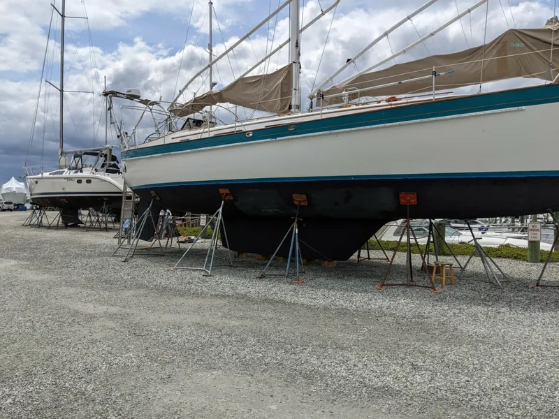 Slide: The Image of Tanton 45 Cat Ketch 1988 - 6029168