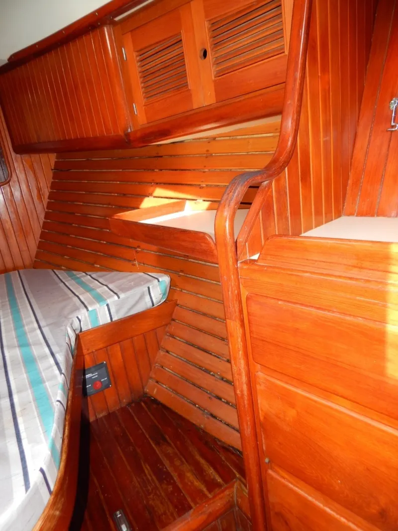 Slide: The Image of Tanton 45 Cat Ketch 1988 - 6087397