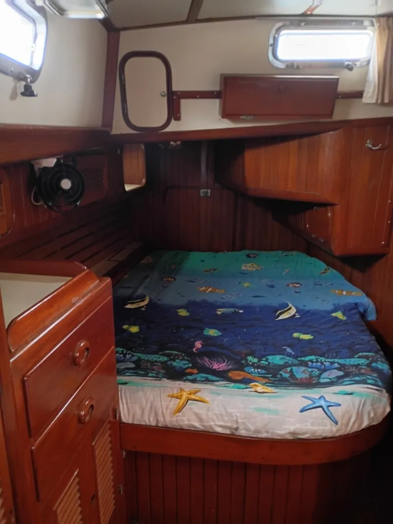 Slide: The Image of Tanton 45 Cat Ketch 1988 - 6066336