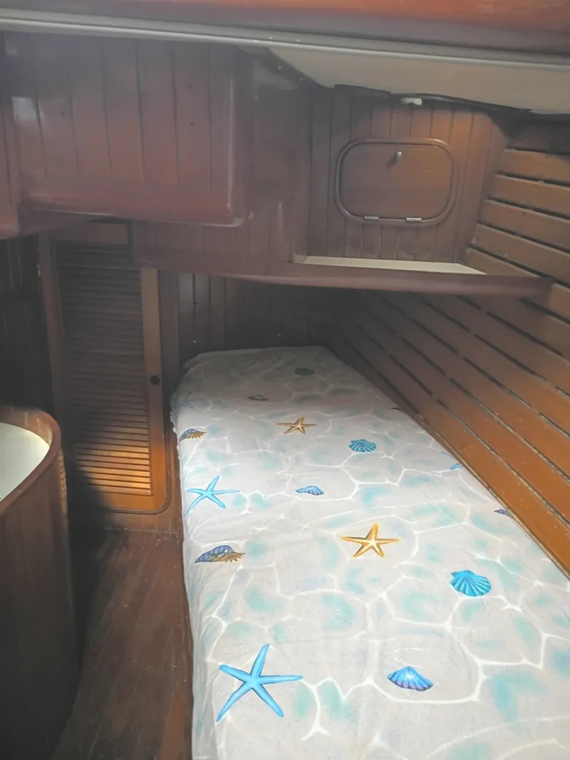 Slide: The Image of Tanton 45 Cat Ketch 1988 - 6066337