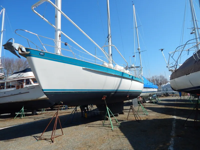 Slide: The Image of Tanton 45 Cat Ketch 1988 - 6029218