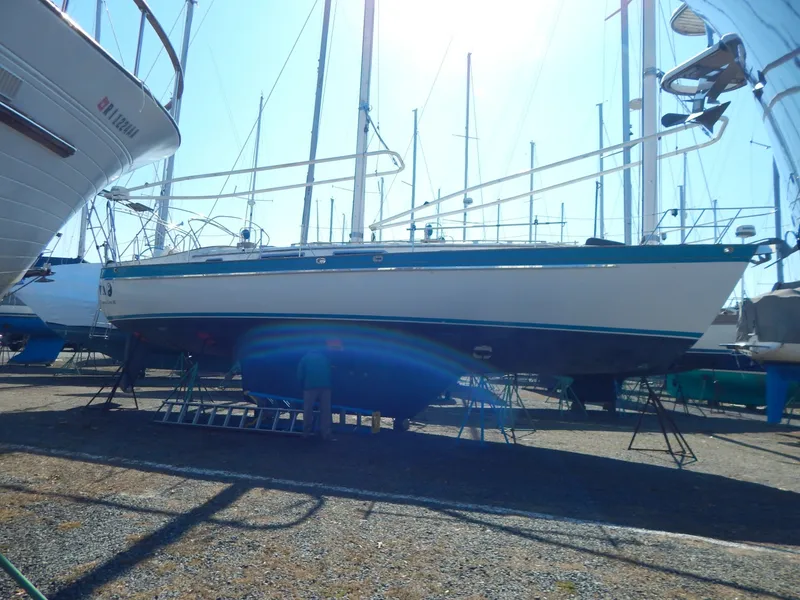 Slide: The Image of Tanton 45 Cat Ketch 1988 - 6029173