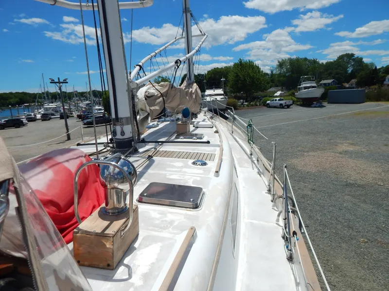 Slide: The Image of Tanton 45 Cat Ketch 1988 - 6481088
