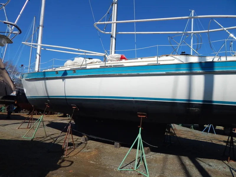 Slide: The Image of Tanton 45 Cat Ketch 1988 - 6029172