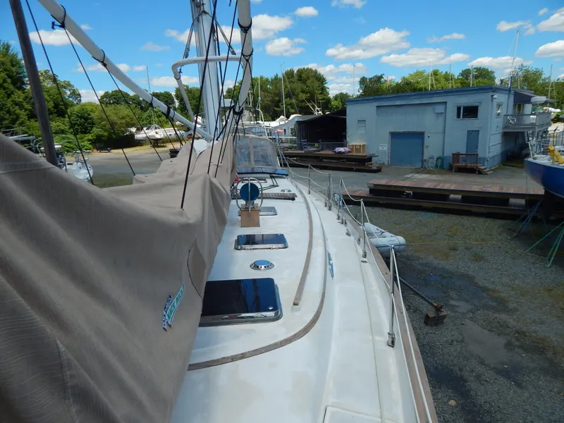 Slide: The Image of Tanton 45 Cat Ketch 1988 - 6481081