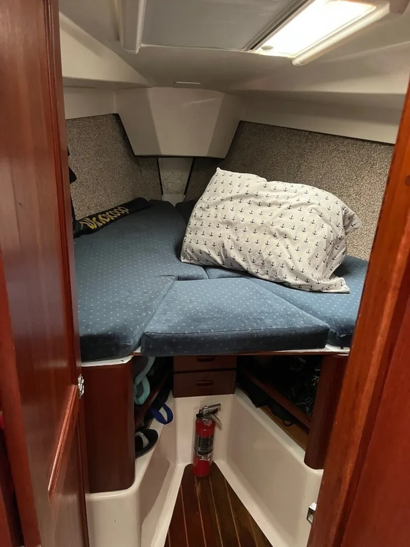 Slide: The Image of Hunter 34 1983 - 6029488