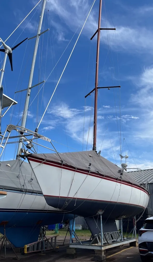 Slide: The Image of Hunter 34 1983 - 6029395