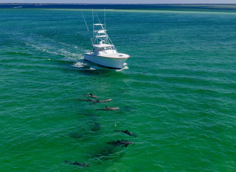 Slide: The Image of Daytona Custom Carolina Express 1994 - 6029530