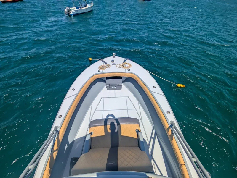 Slide: The Image of Ocean Master 34 1995 - 6030028